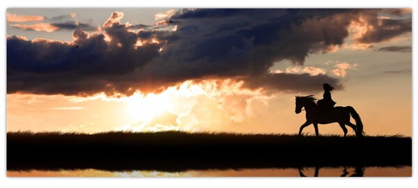 Tablou - Rider pe un cal la apus de soare (120x50 cm)