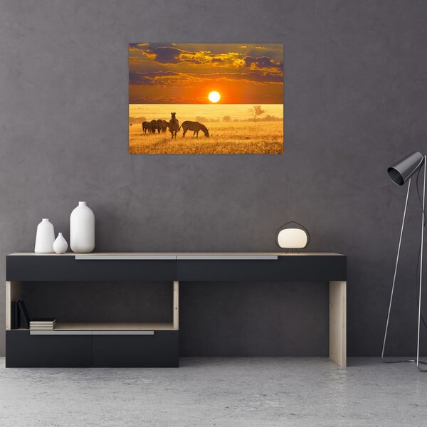 Tablou - Zebre cu apus de soare (70x50 cm)