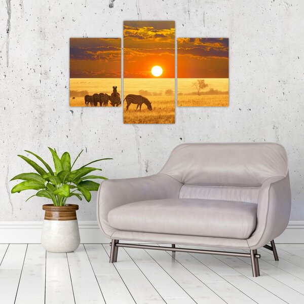 Tablou - Zebre cu apus de soare (90x60 cm)
