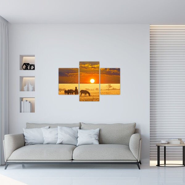 Tablou - Zebre cu apus de soare (90x60 cm)