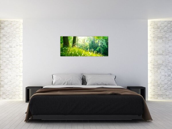 Tablou - Pajiște magică plină de păpădii (120x50 cm)