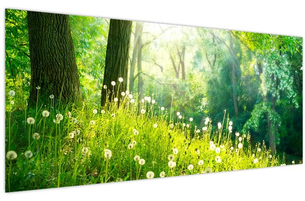 Tablou - Pajiște magică plină de păpădii (120x50 cm)