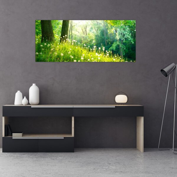 Tablou - Pajiște magică plină de păpădii (120x50 cm)