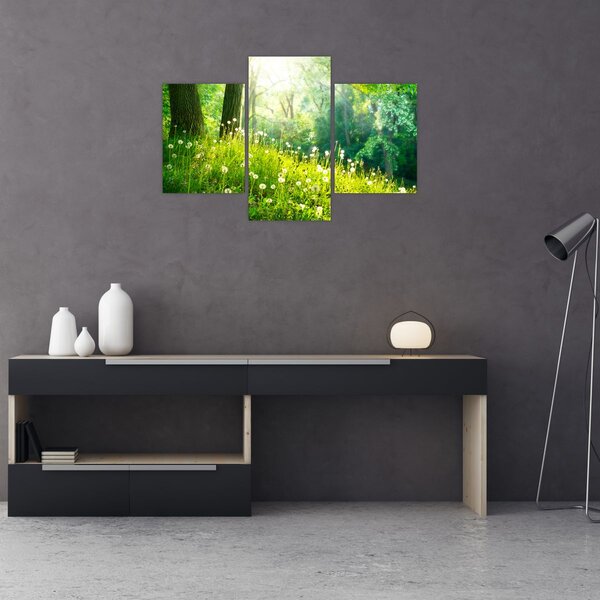 Tablou - Pajiște magică plină de păpădii (90x60 cm)