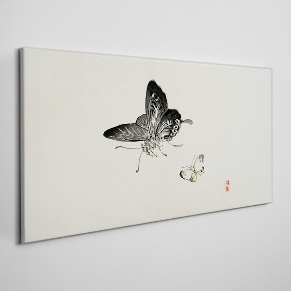 Tablou canvas Fluture insectă modern