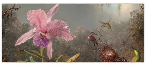 Tablou - Martin Johnson Heade, Cattleya Orchid and Three Hummingbirds, reproducere (120x50 cm)