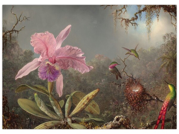 Tablou - Martin Johnson Heade, Cattleya Orchid and Three Hummingbirds, reproducere (70x50 cm)