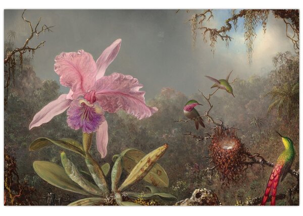 Tablou - Martin Johnson Heade, Cattleya Orchid and Three Hummingbirds, reproducere (90x60 cm)