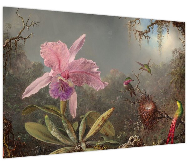 Tablou - Martin Johnson Heade, Cattleya Orchid and Three Hummingbirds, reproducere (90x60 cm)