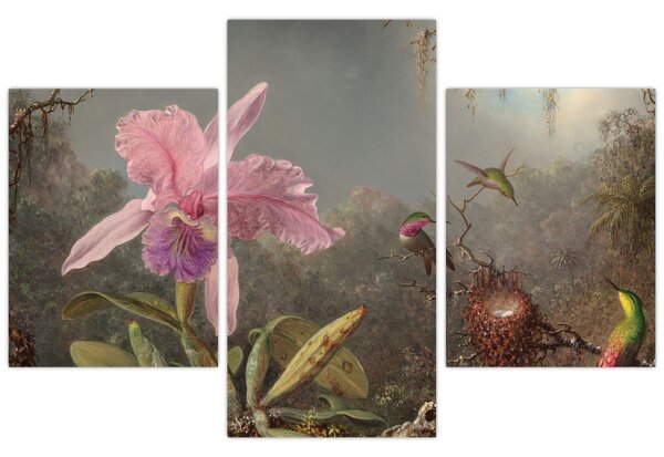 Tablou - Martin Johnson Heade, Cattleya Orchid and Three Hummingbirds, reproducere (90x60 cm)