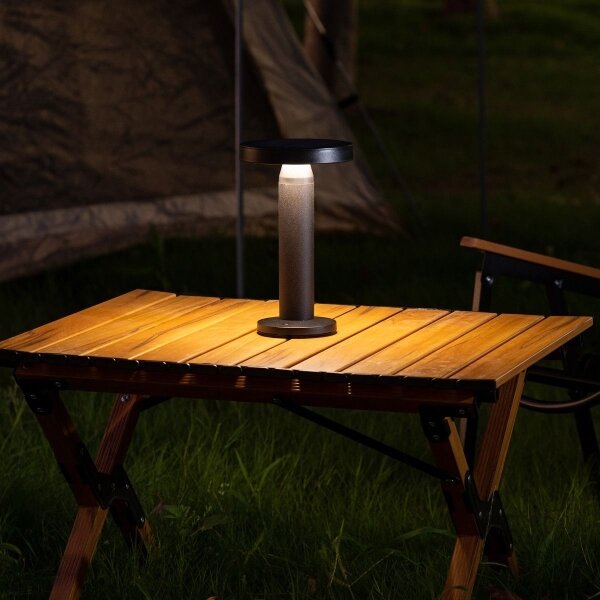 Lampă LED solară Zuma Line DT33611 CARLI LED/2W/2000 mAh IP44 negru