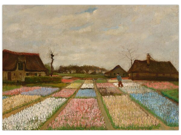 Tablou - Vincent van Gogh, Flower Beds in Holland, reproducere (70x50 cm)