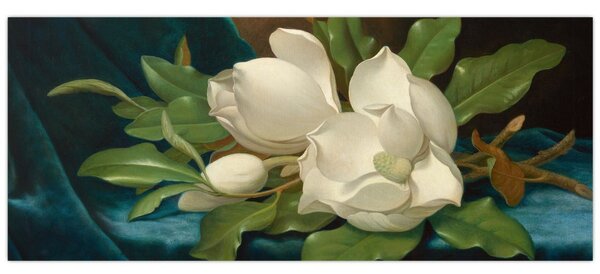 Tablou - Martin Johnson Heade, Giant Magnolias on a Blue Velvet Cloth, reproducere (120x50 cm)