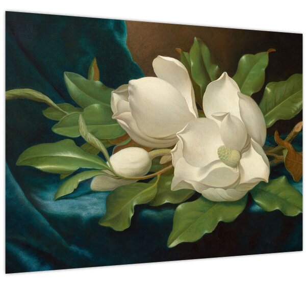 Tablou - Martin Johnson Heade, Giant Magnolias on a Blue Velvet Cloth, reproducere (70x50 cm)