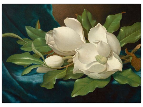 Tablou - Martin Johnson Heade, Giant Magnolias on a Blue Velvet Cloth, reproducere (70x50 cm)