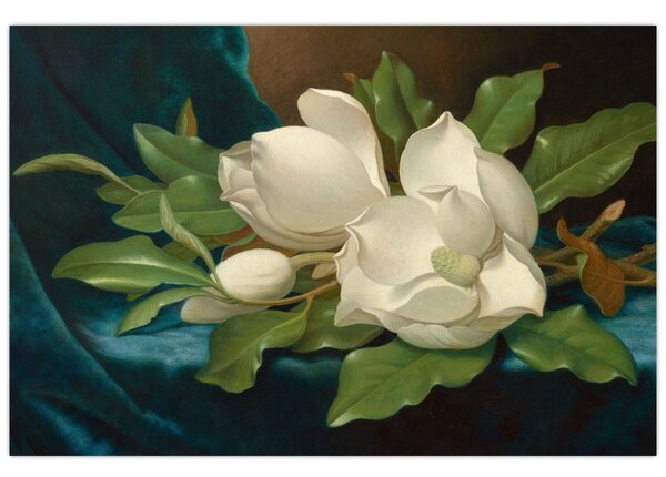 Tablou - Martin Johnson Heade, Giant Magnolias on a Blue Velvet Cloth, reproducere (90x60 cm)