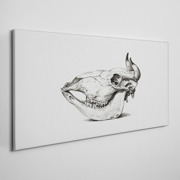 Tablou canvas Desen craniu de vacă