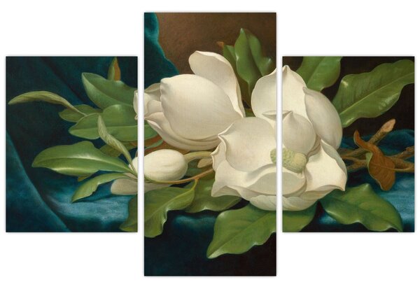 Tablou - Martin Johnson Heade, Giant Magnolias on a Blue Velvet Cloth, reproducere (90x60 cm)