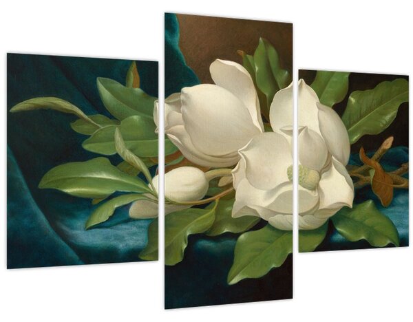 Tablou - Martin Johnson Heade, Giant Magnolias on a Blue Velvet Cloth, reproducere (90x60 cm)