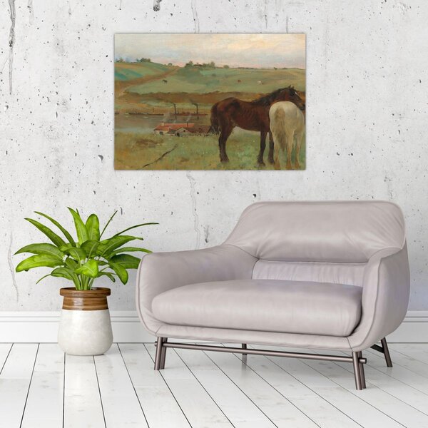 Tablou - Edgar Degas, Horses in a Meadow, reproducere (70x50 cm)
