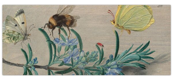 Tablou - Jan van Kessel the Elder, Insects and a Sprig of Rosemary, reproducere (120x50 cm)