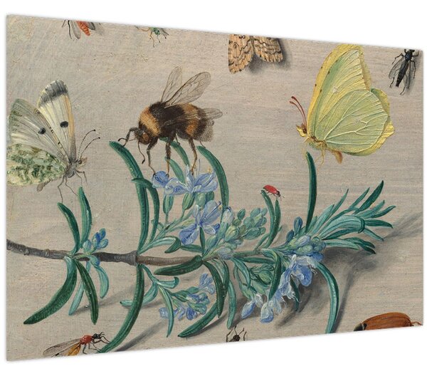 Tablou - Jan van Kessel the Elder, Insects and a Sprig of Rosemary, reproducere (90x60 cm)