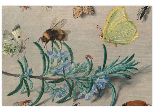 Tablou - Jan van Kessel the Elder, Insects and a Sprig of Rosemary, reproducere (90x60 cm)