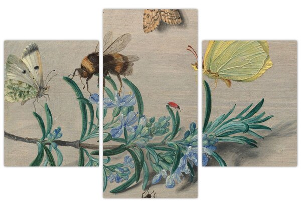 Tablou - Jan van Kessel the Elder, Insects and a Sprig of Rosemary, reproducere (90x60 cm)