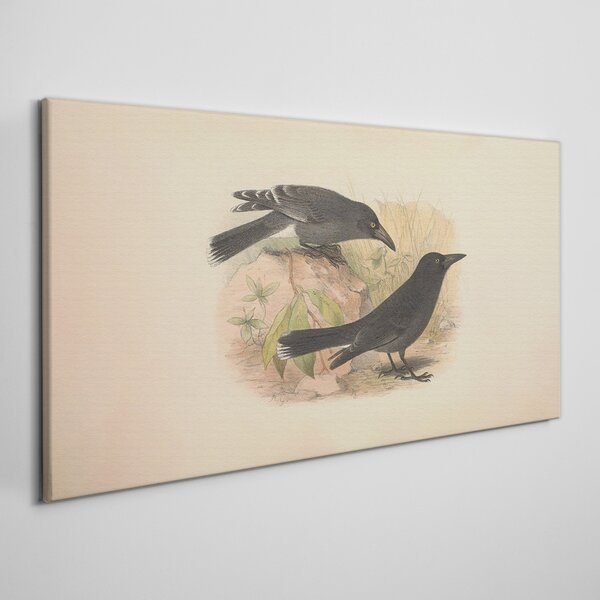 Tablou canvas Păsări Animale Desen