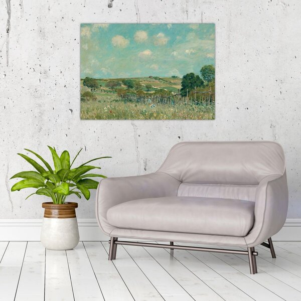 Tablou - Alfred Sisley, Meadow, reproducere (70x50 cm)