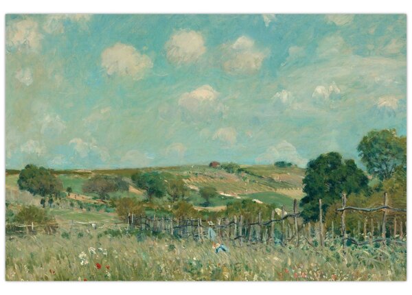 Tablou - Alfred Sisley, Meadow, reproducere (90x60 cm)