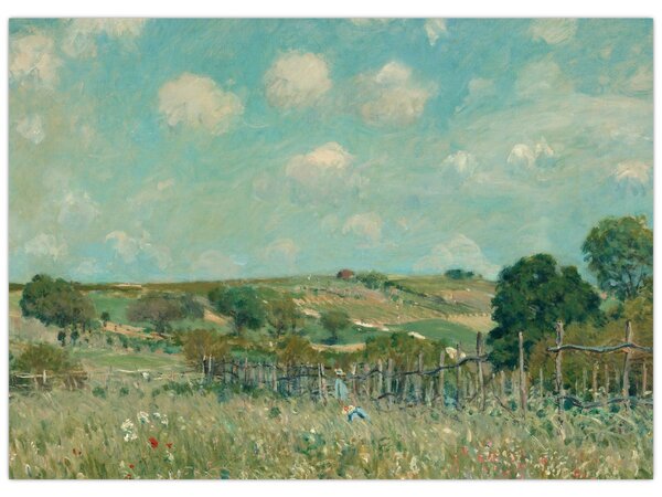 Tablou - Alfred Sisley, Meadow, reproducere (70x50 cm)