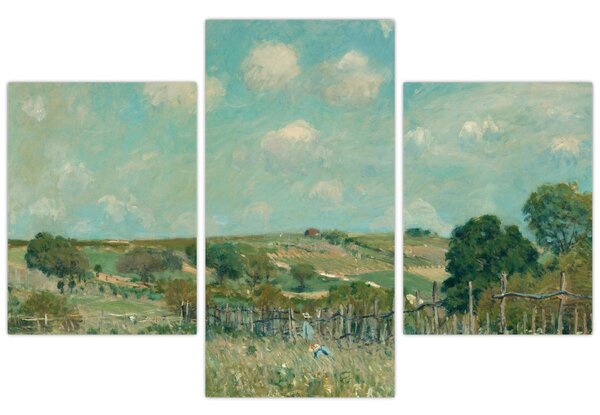 Tablou - Alfred Sisley, Meadow, reproducere (90x60 cm)