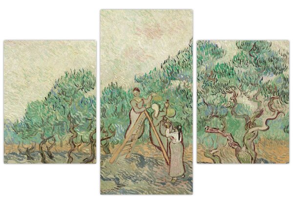 Tablou - Vincent van Gogh, The Olive Orchard, reproducere (90x60 cm)