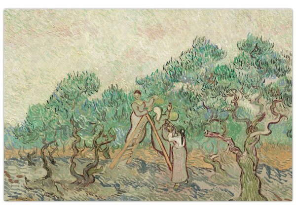 Tablou - Vincent van Gogh, The Olive Orchard, reproducere (90x60 cm)