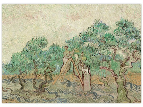 Tablou - Vincent van Gogh, The Olive Orchard, reproducere (70x50 cm)