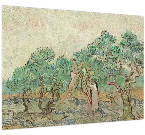 Tablou - Vincent van Gogh, The Olive Orchard, reproducere (70x50 cm)