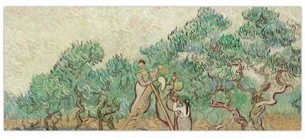 Tablou - Vincent van Gogh, The Olive Orchard, reproducere (120x50 cm)