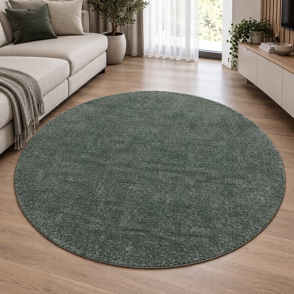 Covor Living Dormitor, Fargo 71501 040, Rotund, Verde 160 x 160