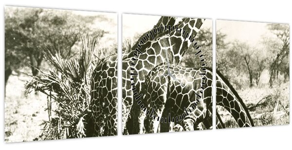 Tablou - Girafe, de epocă (cu ceas) (90x30 cm)