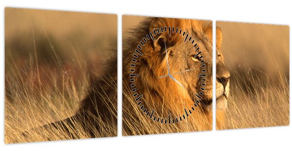 Tablou - Parcul Național Etosha (cu ceas) (90x30 cm)