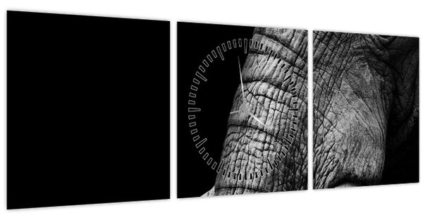 Tablou - Colți de elefant (cu ceas) (90x30 cm)