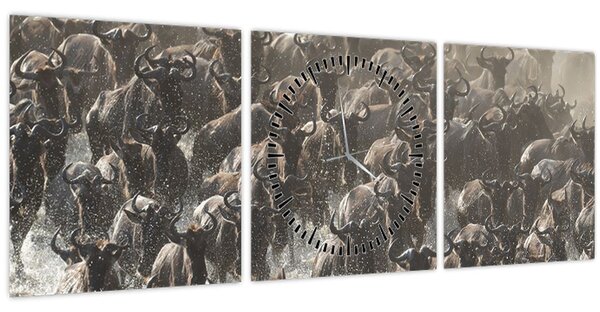 Tablou - Turmă de antilope sălbatice (cu ceas) (90x30 cm)