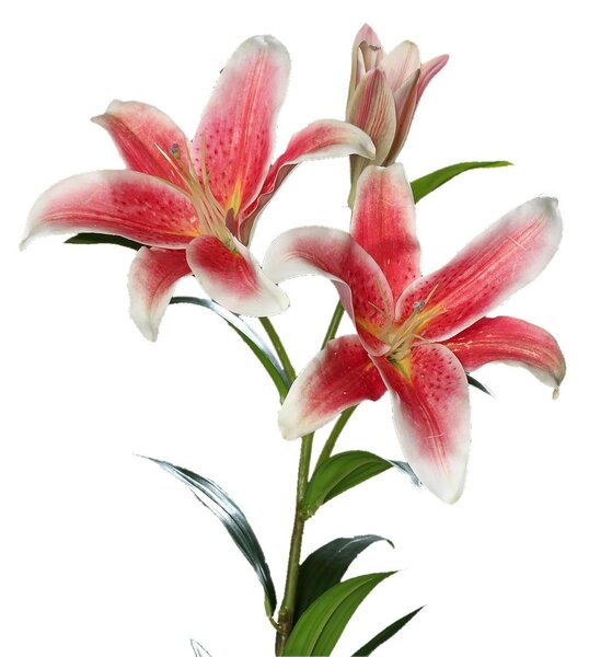 Crin cu doua flori si un boboc cu aspect 100% natural, 88 cm