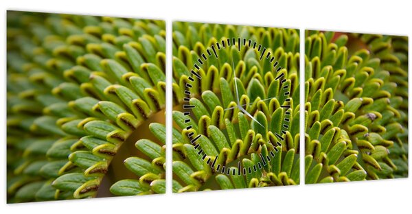 Tablou - Fern (cu ceas) (90x30 cm)