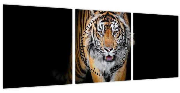 Tablou - Tiger (cu ceas) (90x30 cm)