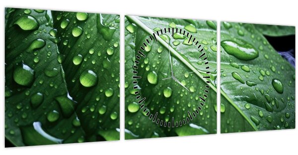 Tablou - Detaliu de frunze după ploaie (cu ceas) (90x30 cm)
