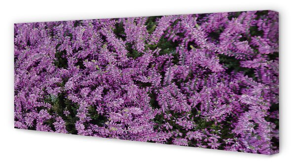 Tablouri canvas flori roșii