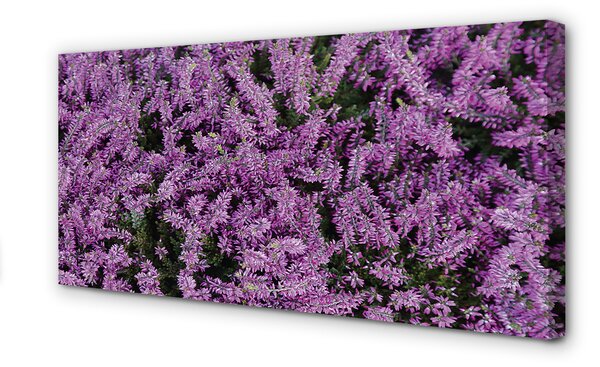 Tablouri canvas flori roșii