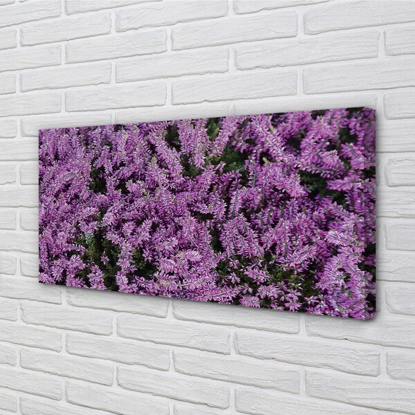 Tablouri canvas flori roșii